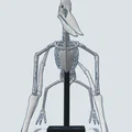 Mô hình 3D bộ xương khủng long bay Pteranodon độc đáo - Thumbnail 13
