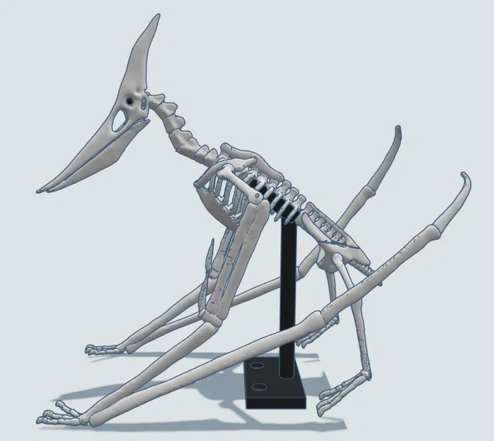 Mô hình 3D bộ xương khủng long bay Pteranodon độc đáo - Image 15