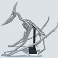 Mô hình 3D bộ xương khủng long bay Pteranodon độc đáo - Thumbnail 15