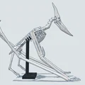 Mô hình 3D bộ xương khủng long bay Pteranodon độc đáo - Thumbnail 16
