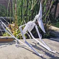 Mô hình 3D bộ xương khủng long bay Pteranodon độc đáo - Thumbnail 17