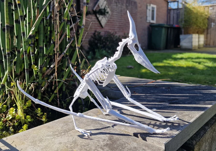 Mô hình 3D bộ xương khủng long bay Pteranodon độc đáo - Image 18