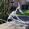 Mô hình 3D bộ xương khủng long bay Pteranodon độc đáo - Thumbnail 18
