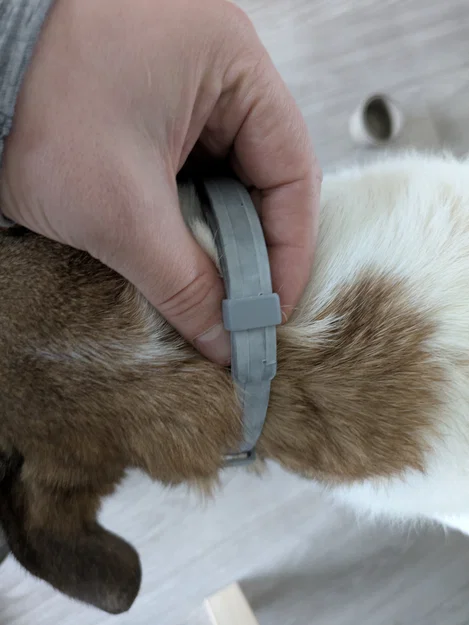 Kẹp giữ vòng cổ Foresto/Seresto - Image 2