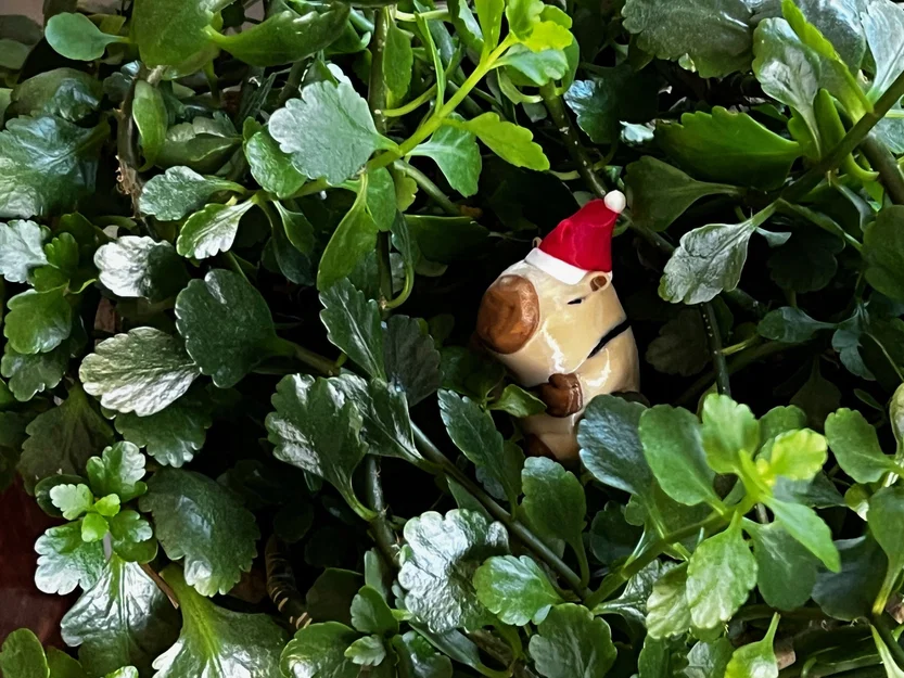 Mô hình trang trí Capybara Giáng sinh Santipaw - Image 5