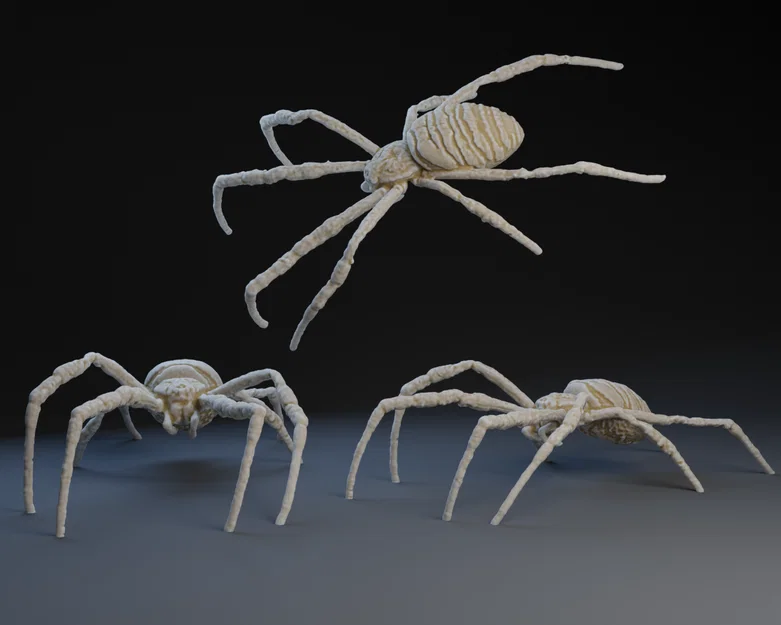 Mô hình 3D Nhện Orb Weaver chi tiết cho người yêu động vật - Image 1