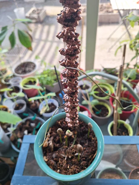 Cây cắm trang trí chậu cây hình cấu trúc DNA (B-Form DNA Plant Stick) - Image 2