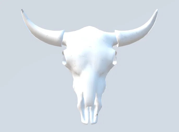 Mô hình đầu lâu bò (Cow skull) - Image 1