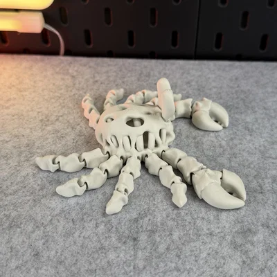 Mô hình Cua Xương Khớp nối (Articulated Skeleton Crab)