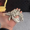Mô hình Cua Xương Khớp nối (Articulated Skeleton Crab) - Thumbnail 5