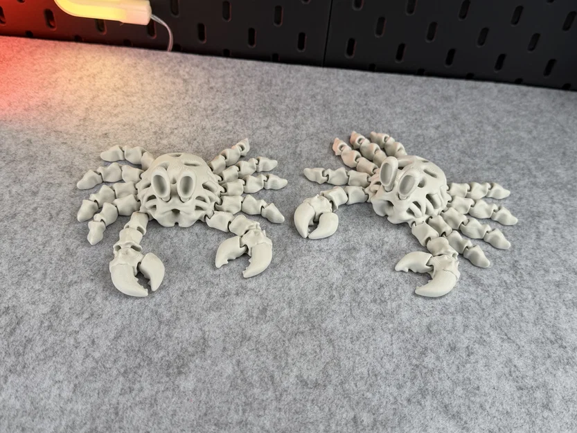 Mô hình Cua Xương Khớp nối (Articulated Skeleton Crab) - Image 8