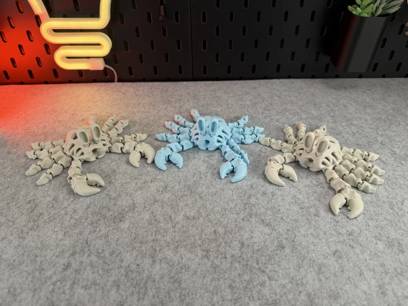 Mô hình Cua Xương Khớp nối (Articulated Skeleton Crab) - Image 10