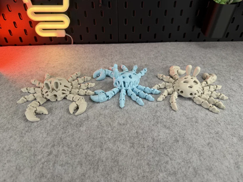 Mô hình Cua Xương Khớp nối (Articulated Skeleton Crab) - Image 11