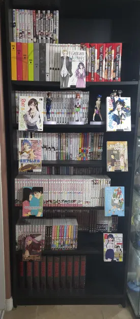 Giá Kẹp Trưng Bày Sách Trên Kệ Ikea Billy - Image 2