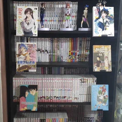 Giá Kẹp Trưng Bày Sách Trên Kệ Ikea Billy