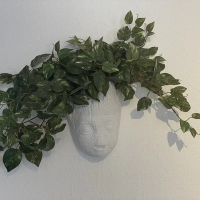 Chậu cây Baby Groot treo tường