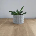 Chậu Cây 3D Decor Hoa Văn Hữu Cơ - In Vase Mode Siêu Dễ - Thumbnail 2