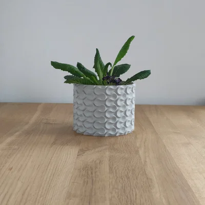 Chậu Cây 3D Decor Hoa Văn Hữu Cơ - In Vase Mode Siêu Dễ