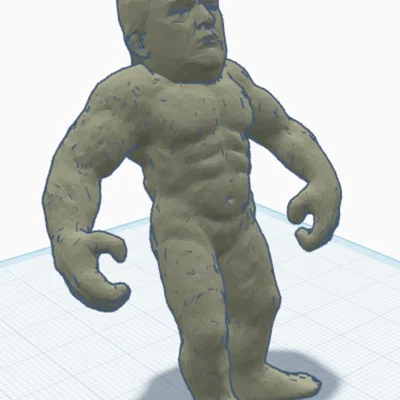 Mô hình in 3D Trump Foot độc đáo cho bộ sưu tập cá nhân