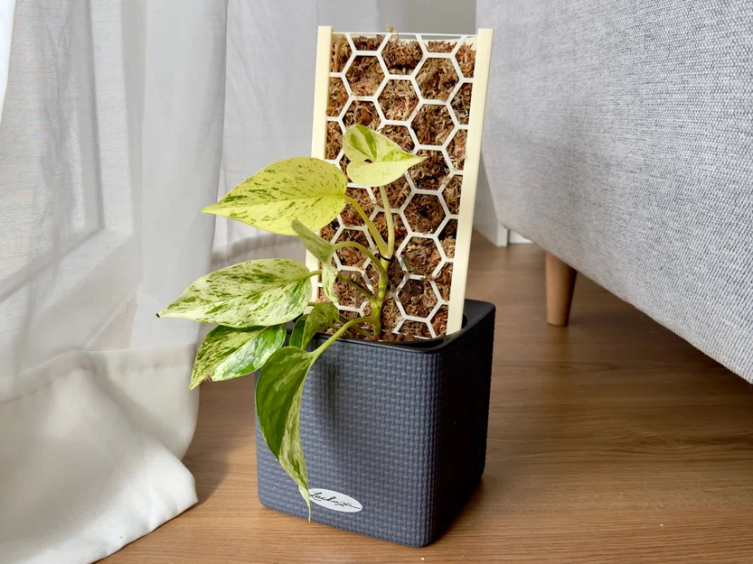 Moss Pole - Cọc leo cây có thể xếp chồng, giữ ẩm và chắc chắn - Image 16