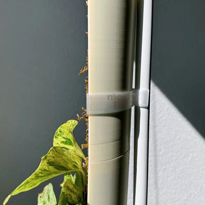 Ngàm kẹp trụ Moss Pole (Stake clip)