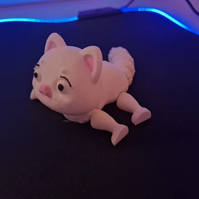 Mèo khớp nối linh hoạt: Cat: Articulated Cat