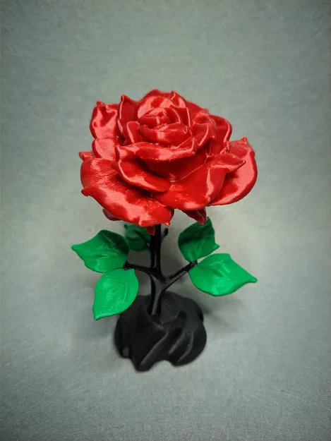 Thêm một bông hồng xinh xắn - Image 2