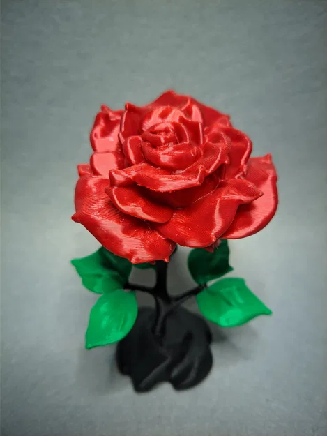 Thêm một bông hồng xinh xắn - Image 3