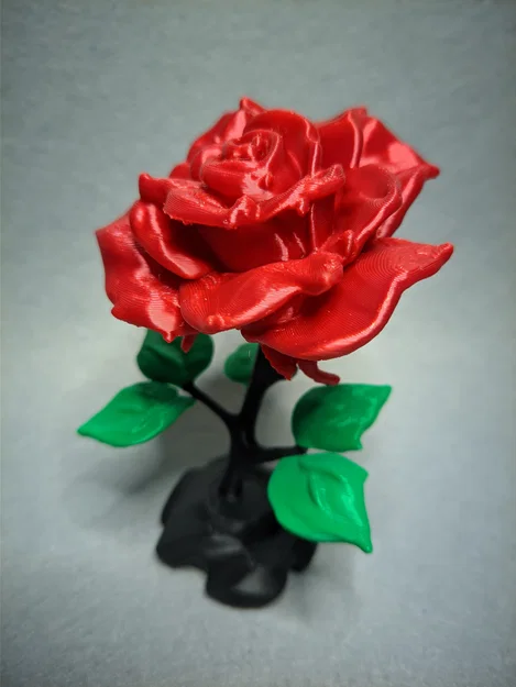 Thêm một bông hồng xinh xắn - Image 4