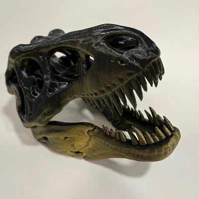 Mô hình hộp sọ T-Rex cực chất