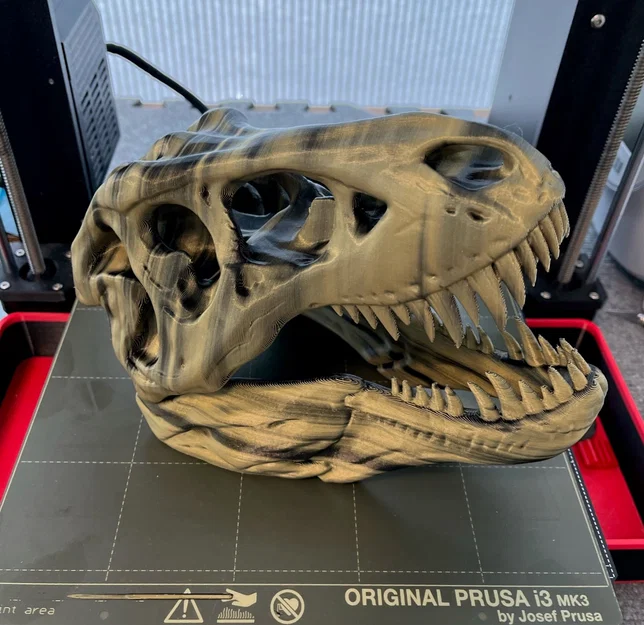 Mô hình hộp sọ T-Rex cực chất - Image 3