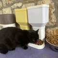 Máy cho mèo ăn (bản không chữ, đáy phẳng) - Thumbnail 5