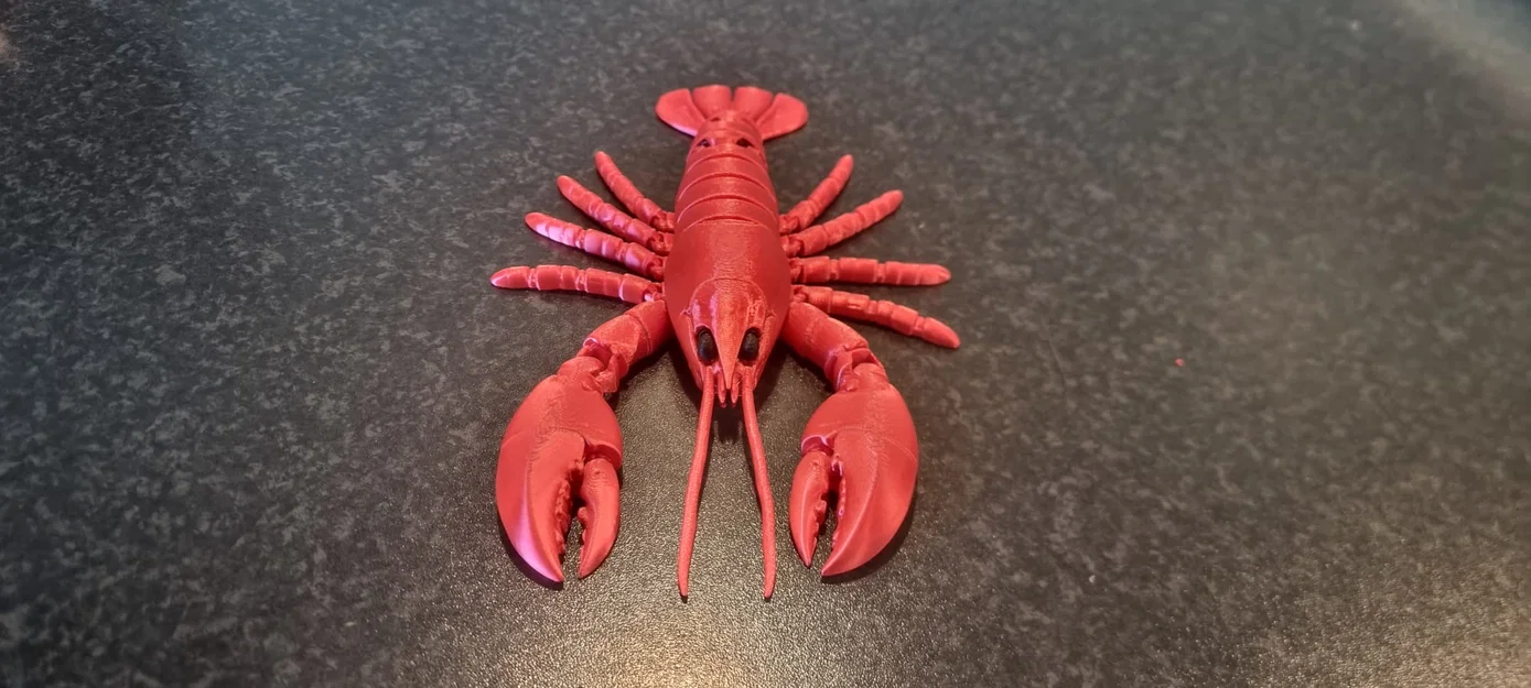 Mô hình tôm hùm khớp nối in 3D linh hoạt - Image 2