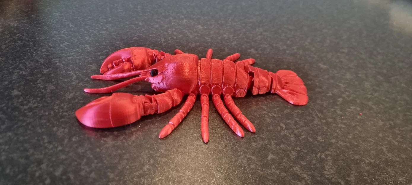 Mô hình tôm hùm khớp nối in 3D linh hoạt - Image 3