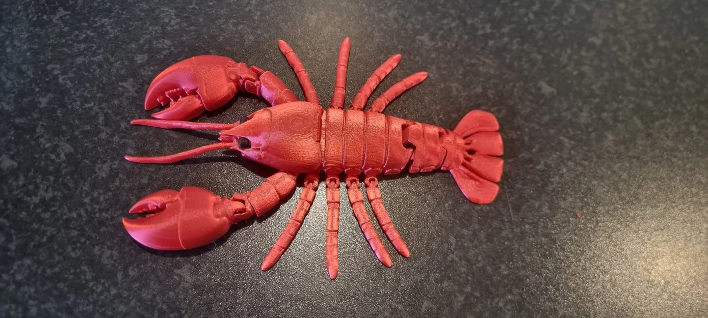 Mô hình tôm hùm khớp nối in 3D linh hoạt - Image 4