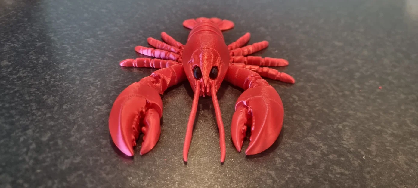 Mô hình tôm hùm khớp nối in 3D linh hoạt - Image 5
