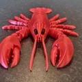 Mô hình tôm hùm khớp nối in 3D linh hoạt - Thumbnail 5