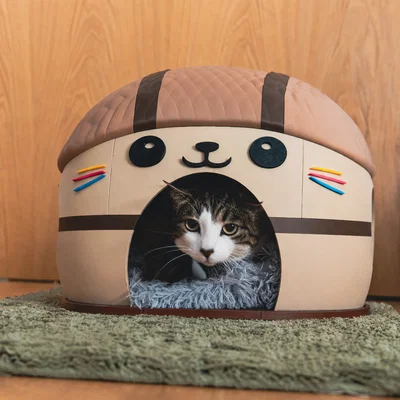 Nhà Mèo Kawai Dễ Thương - Ngôi Nhà Cho Thú Cưng Cỡ Lớn