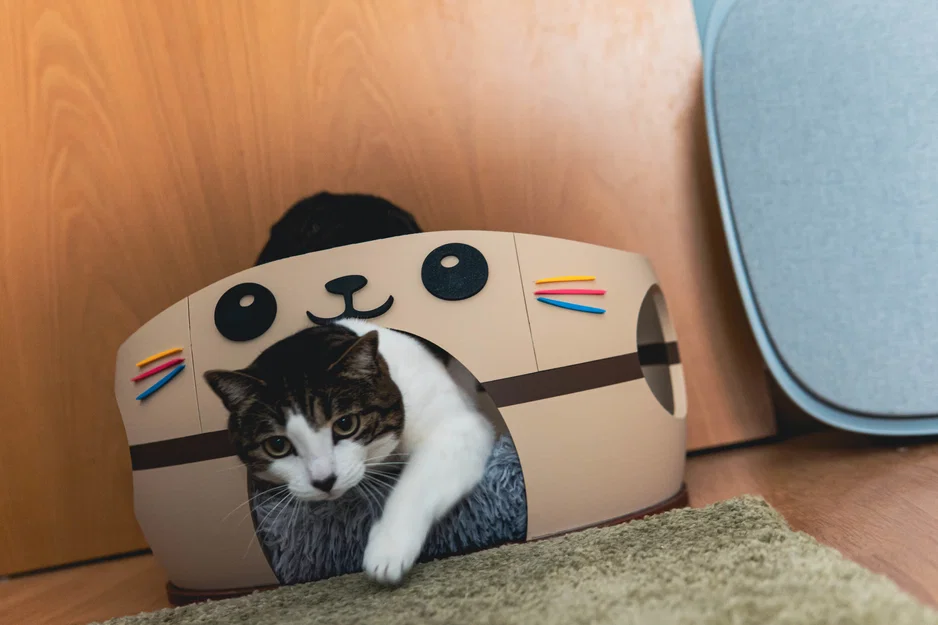 Nhà Mèo Kawai Dễ Thương - Ngôi Nhà Cho Thú Cưng Cỡ Lớn - Image 4