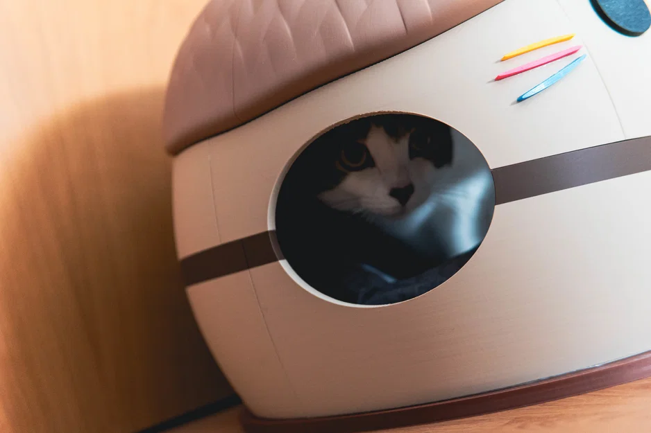 Nhà Mèo Kawai Dễ Thương - Ngôi Nhà Cho Thú Cưng Cỡ Lớn - Image 8