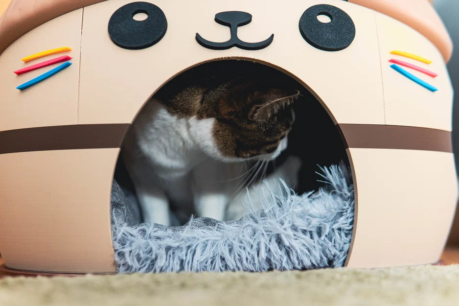 Nhà Mèo Kawai Dễ Thương - Ngôi Nhà Cho Thú Cưng Cỡ Lớn - Image 9