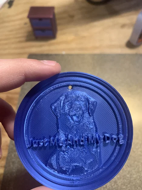 Token hình chó Golden Retriever - Image 2