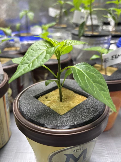 Rọ thủy canh (Netpot) Ø8 cm - Image 6