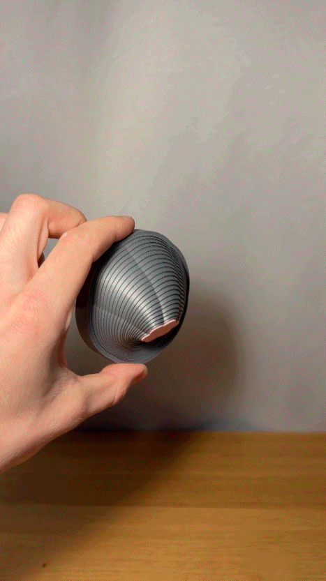 Đồ chơi Fidget hình bông hoa (Flower Fidget Toy) - Thumbnail 2