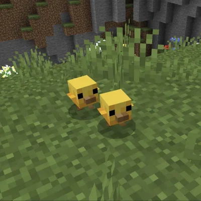 Kết cấu mới cho gà con trong Minecraft (Minecraft Chick Texture)
