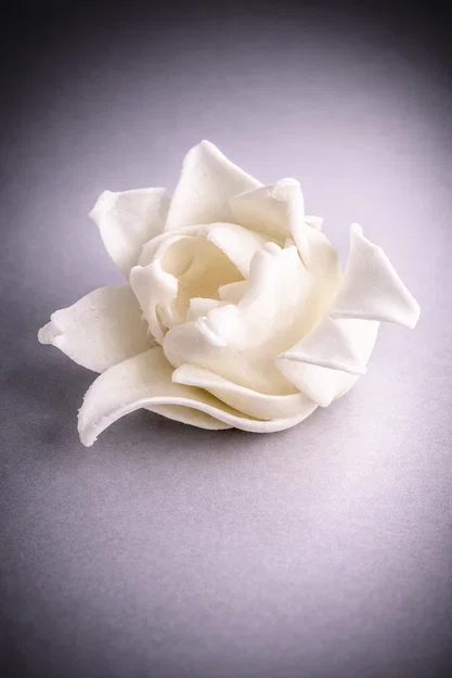 Hoa tulip trang trí phong cách Gothic - Image 3