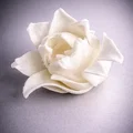 Hoa tulip trang trí phong cách Gothic - Thumbnail 3