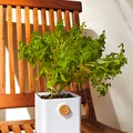 Cork Planter - Chậu cây in 3D độc đáo kèm khay thấm hút và bảng ghi chú - Thumbnail 6