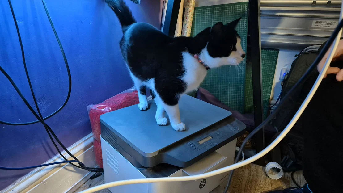 Tấm Chắn Bảo Vệ Máy In HP MFP178NW Chống Mèo Ngồi Lên - Image 1