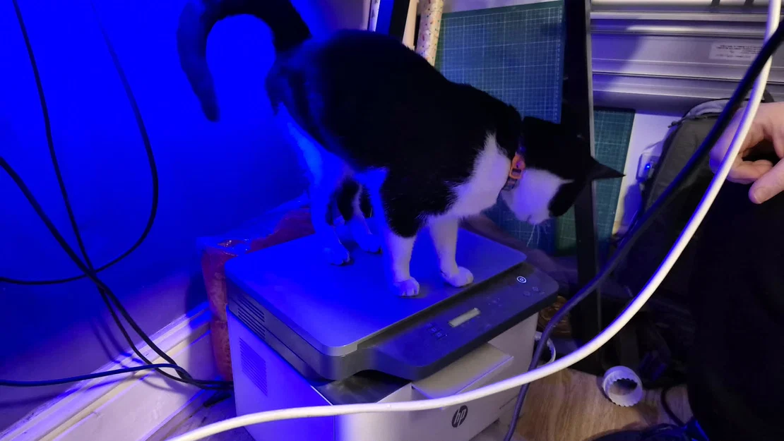 Tấm Chắn Bảo Vệ Máy In HP MFP178NW Chống Mèo Ngồi Lên - Image 2